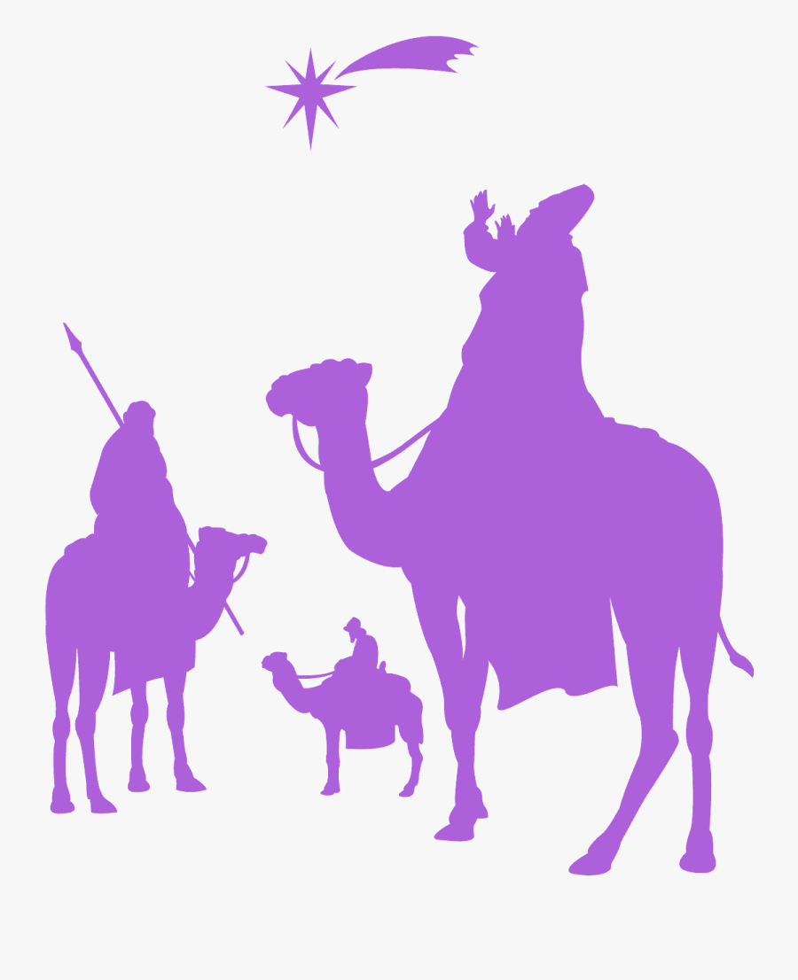 Arabian Camel, Transparent Clipart