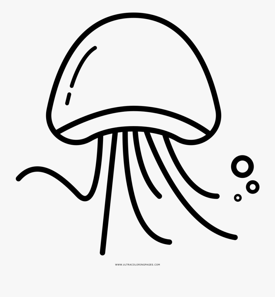 Clip Art Para Colorir Ultra Coloring Qualle Icon Free Transparent Clipart Clipartkey