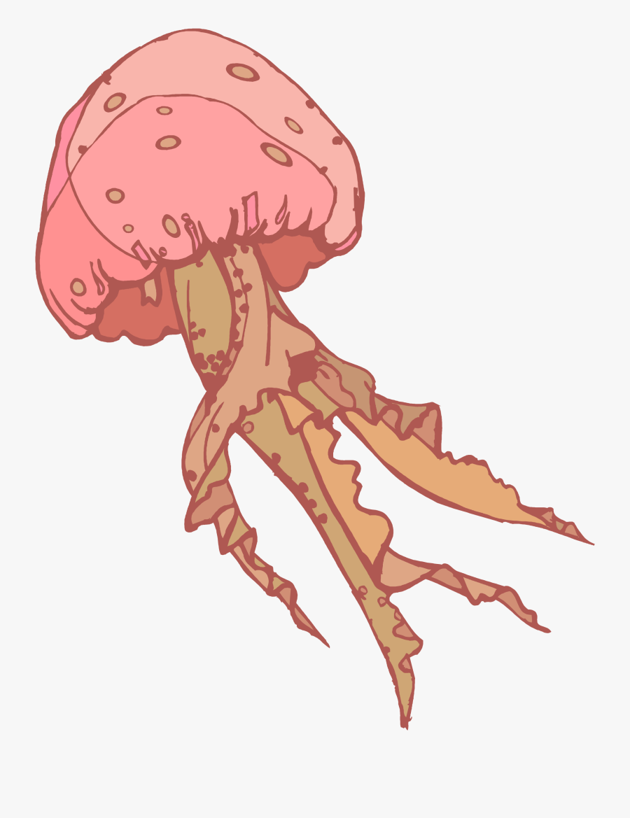 Medusa De Mar Gif Png, Transparent Clipart