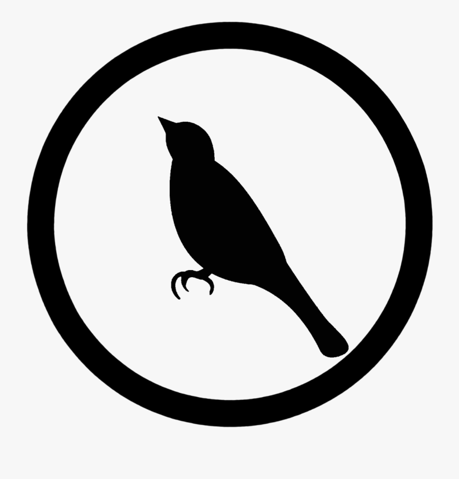 Bird Creatures Life Free Picture - Phone Icon Png Black, Transparent Clipart