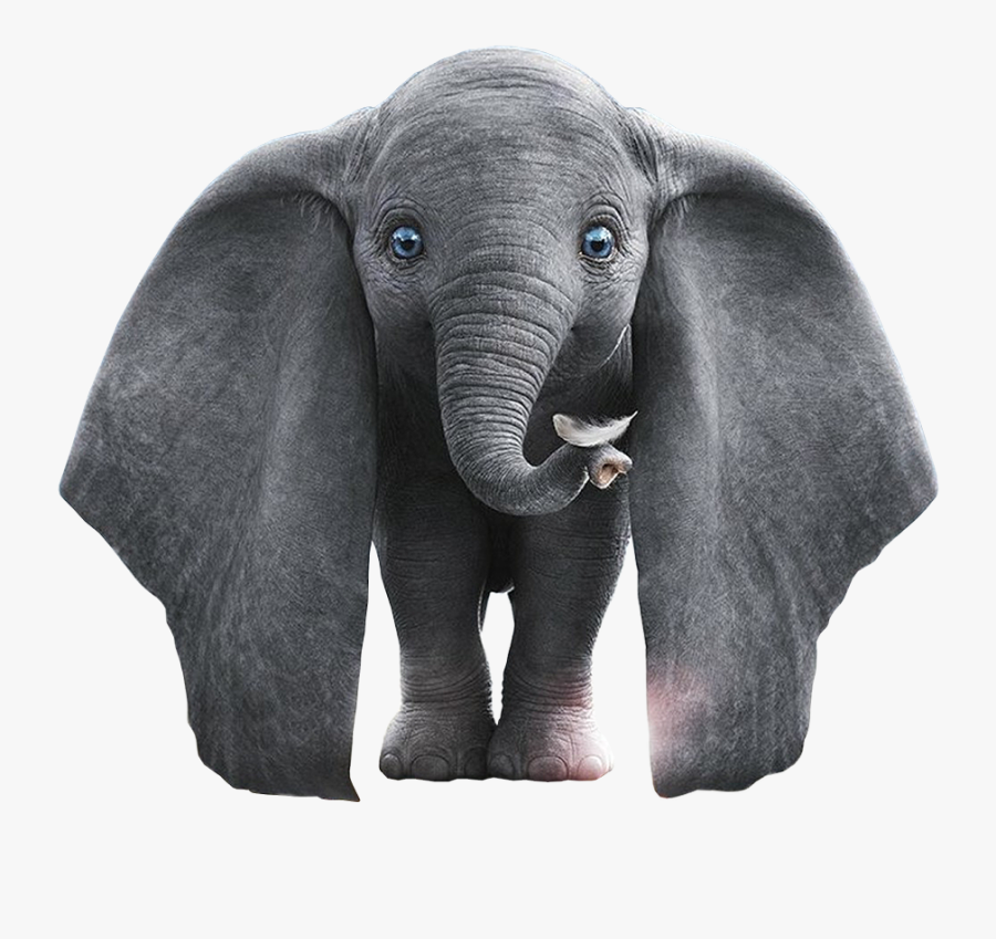 #tube #disney #dumbo #elephant #freetoedit - الفيل دامبو فيلم, Transparent Clipart