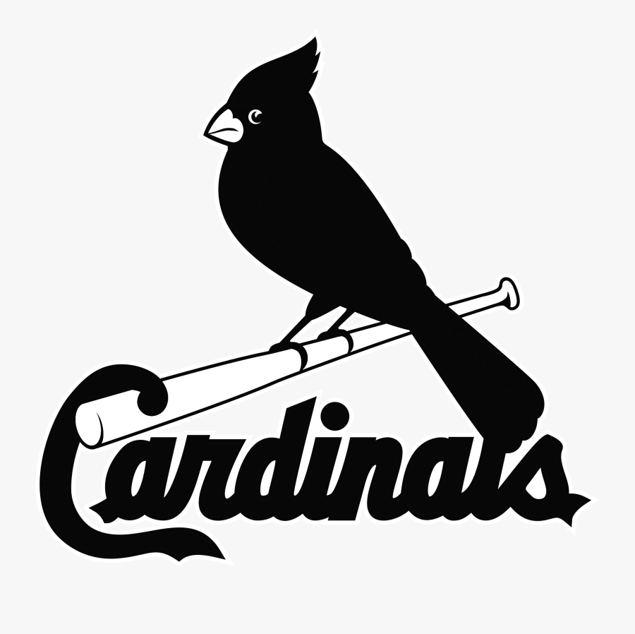 Louis Cardinals Logo Png Transparent Amp Svg Vector - Steller S Jay, Transparent Clipart