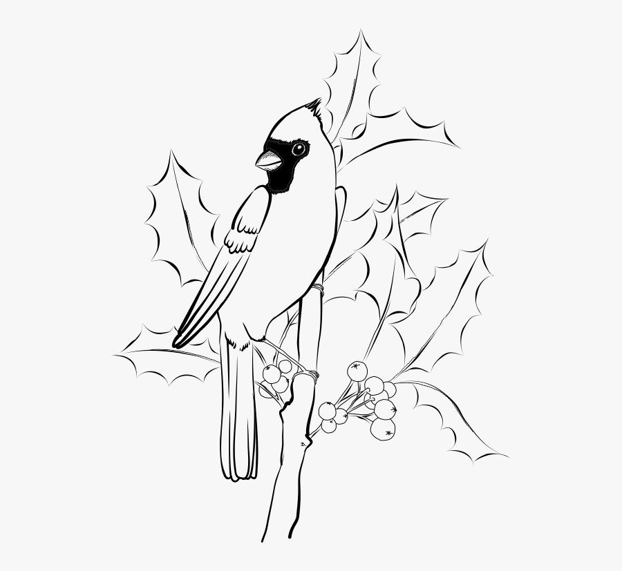 Cardinal Picture Black And White, Transparent Clipart
