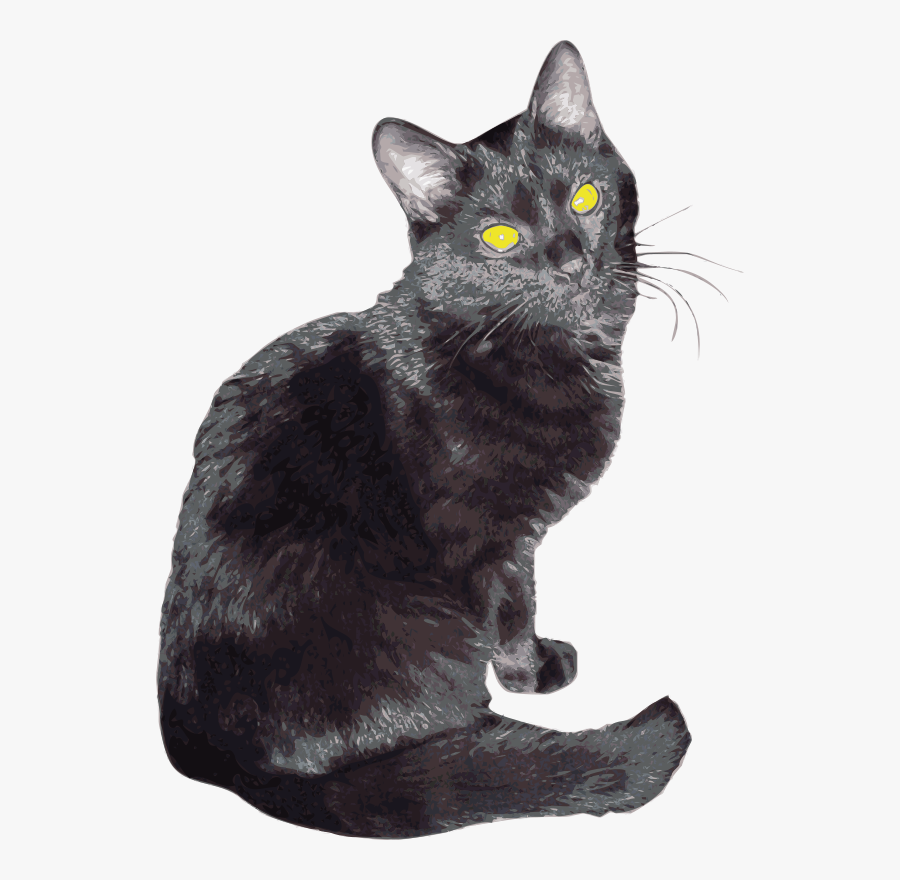 Sherlock - Bombay Cat, Transparent Clipart