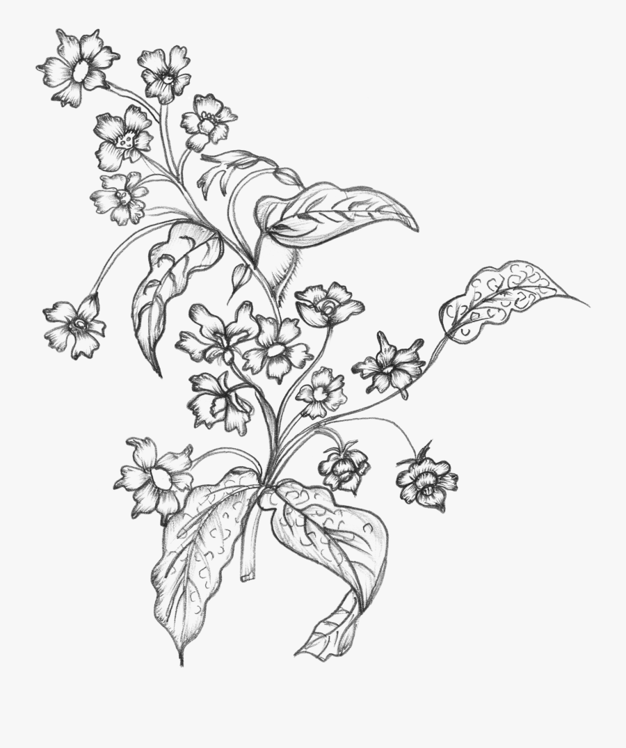 Black White Sketchy Flowers Free Png - Flower Drawing Transparent Png, Transparent Clipart
