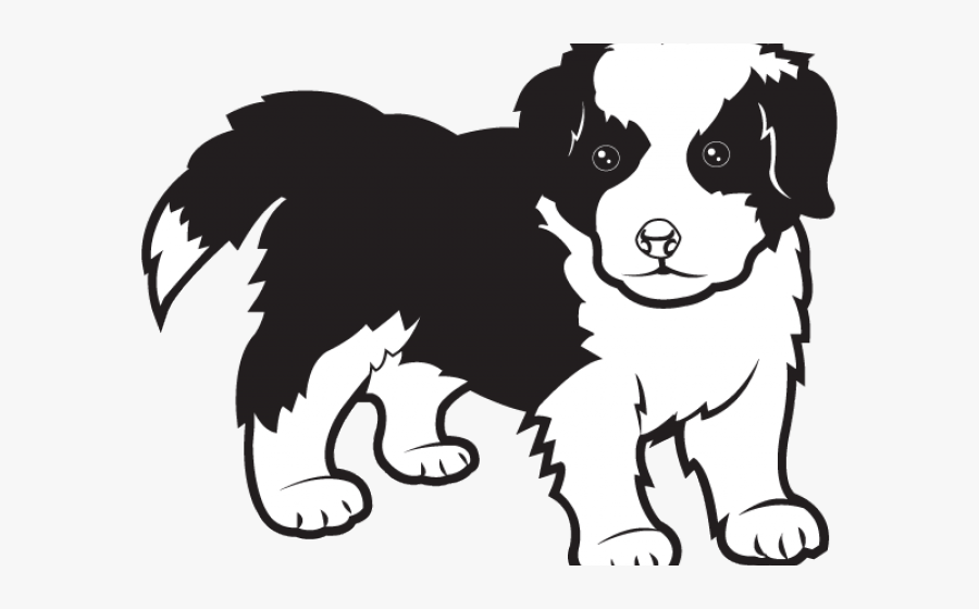 Border Collie Dog Cartoon, Transparent Clipart