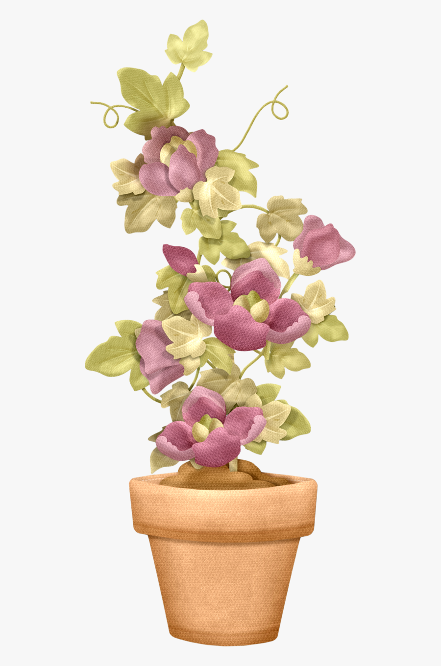 Bougainvillea, Transparent Clipart
