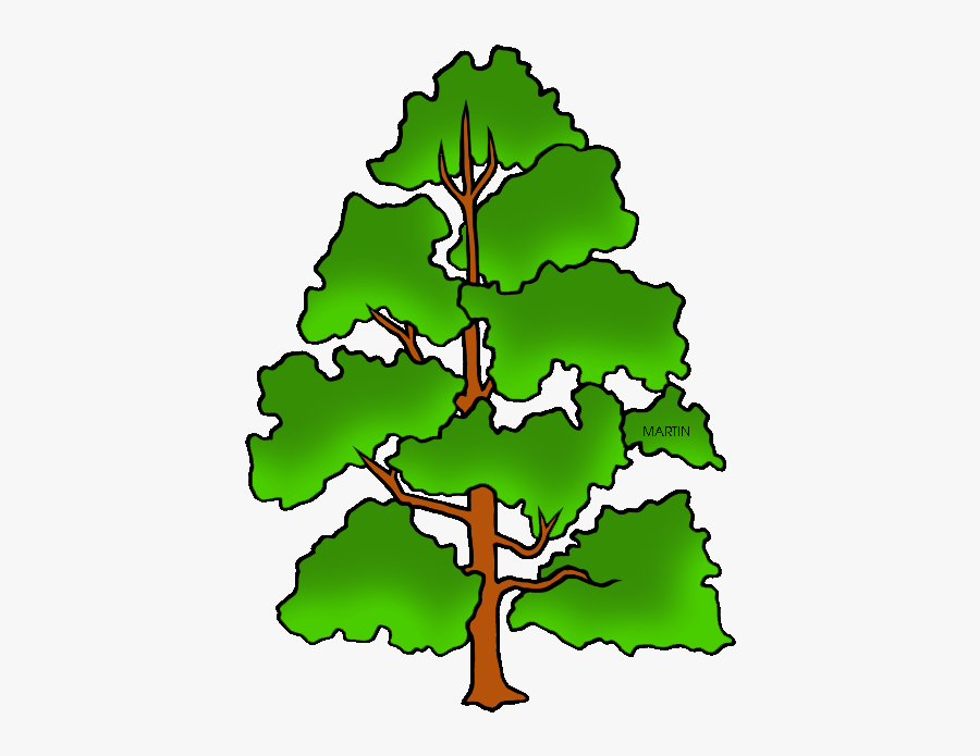 Tennessee Clipart State - Indiana State Tree Drawing, Transparent Clipart