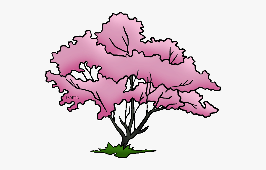 United States Clip Art By Phillip Martin, Missouri - Dogwood Tree Clip Art, Transparent Clipart