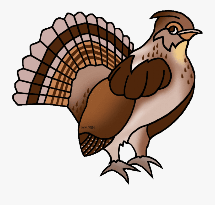 United States Clip Art By Phillip Martin, Pennsylvania - Pennsylvania Bird Ruffed Grouse, Transparent Clipart