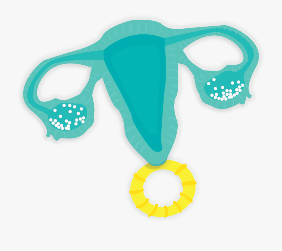 Uterus Rattle Clipart , Png Download, Transparent Clipart