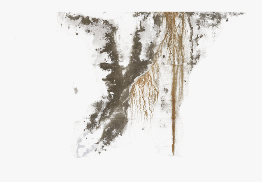 Transparent Wood Grain Background Clipart - Stains Texture, Transparent Clipart