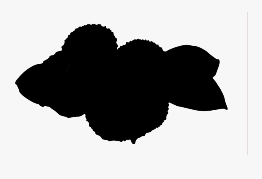 Lychee Png Image - Illustration, Transparent Clipart