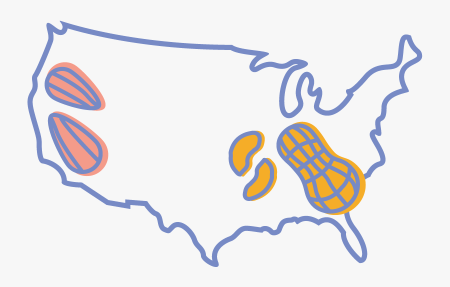 Illustration, Transparent Clipart