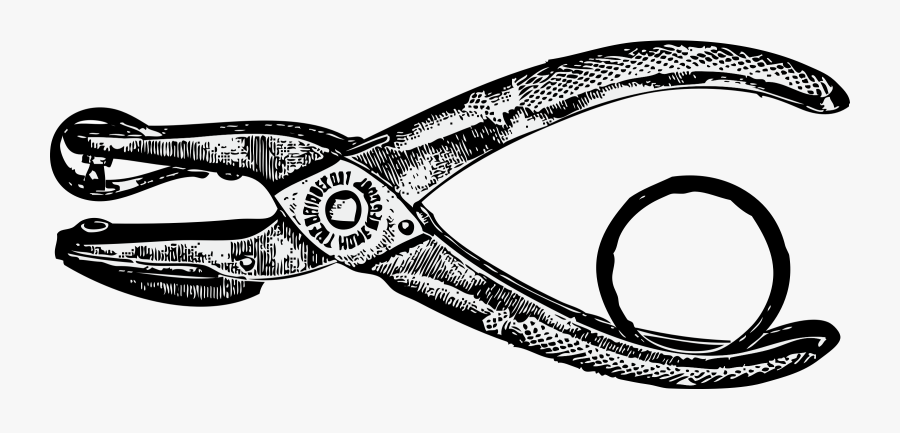 Reptile,hardware Accessory,vertebrate - Hole Punch Clip Art, Transparent Clipart