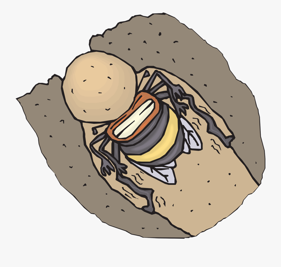 Dirt Vector Graphics - Bee, Transparent Clipart