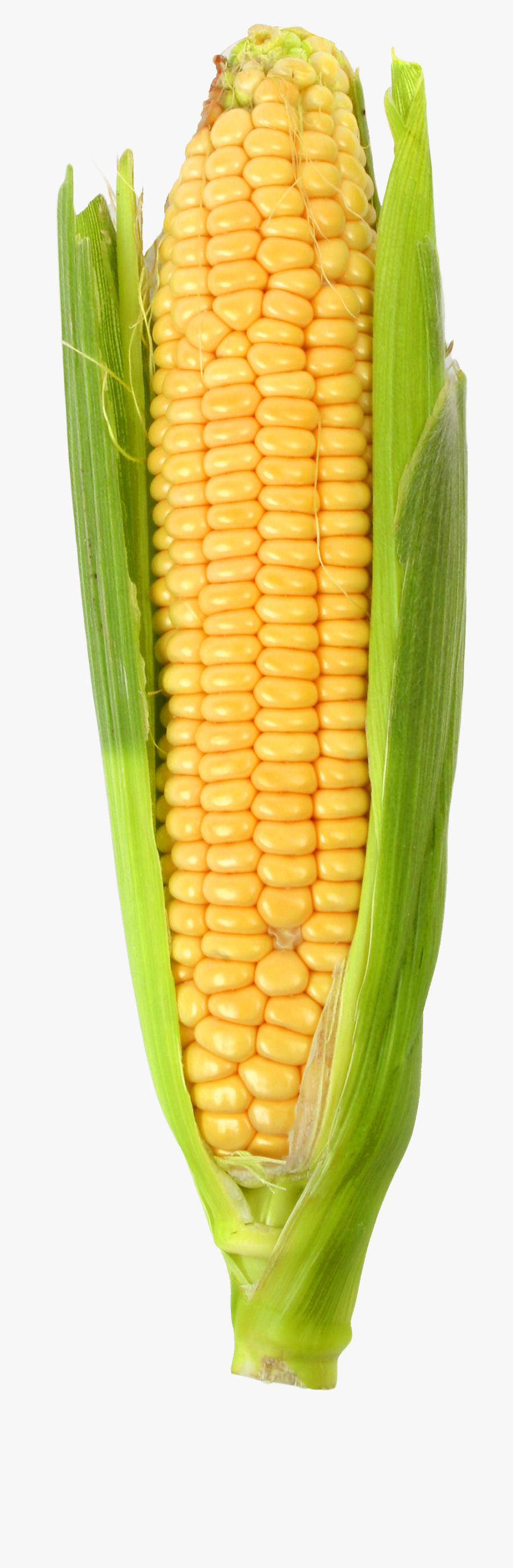 Clip Art Corn Stock Photo - Corn Png, Transparent Clipart