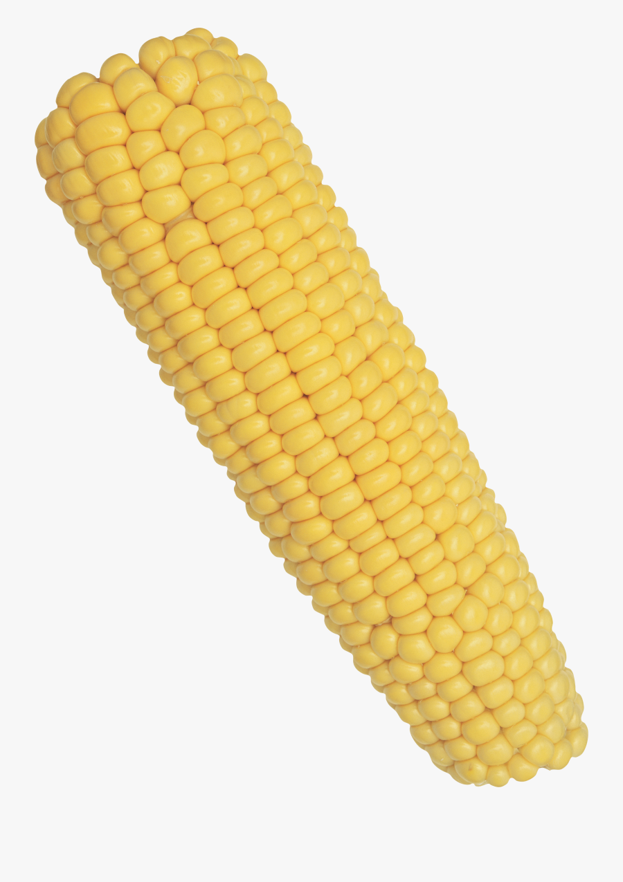 Corn Png Images For Download Crazypngm Crazy - Corn Transparent Background, Transparent Clipart