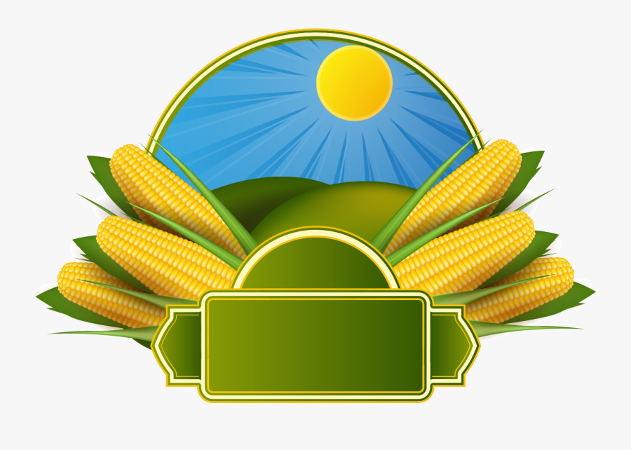 Corn On The Cob Maize Corncob Clip Art - Background Corn Vector Png, Transparent Clipart