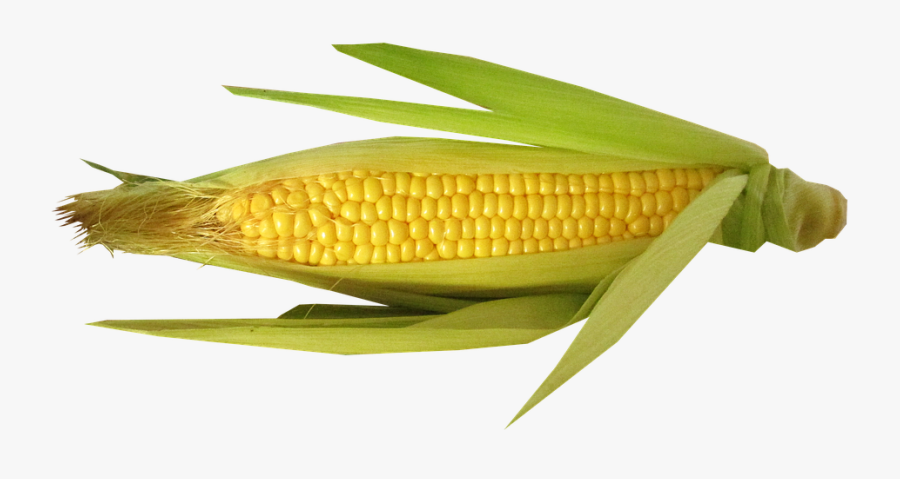 Beans On A Cob, Transparent Clipart