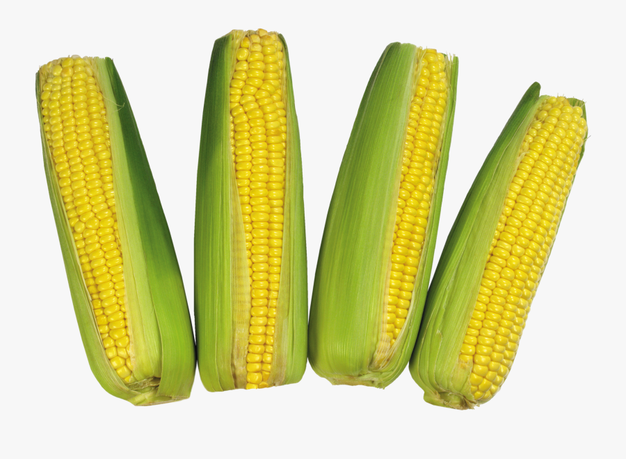 Corn Png Image - Maize, Transparent Clipart