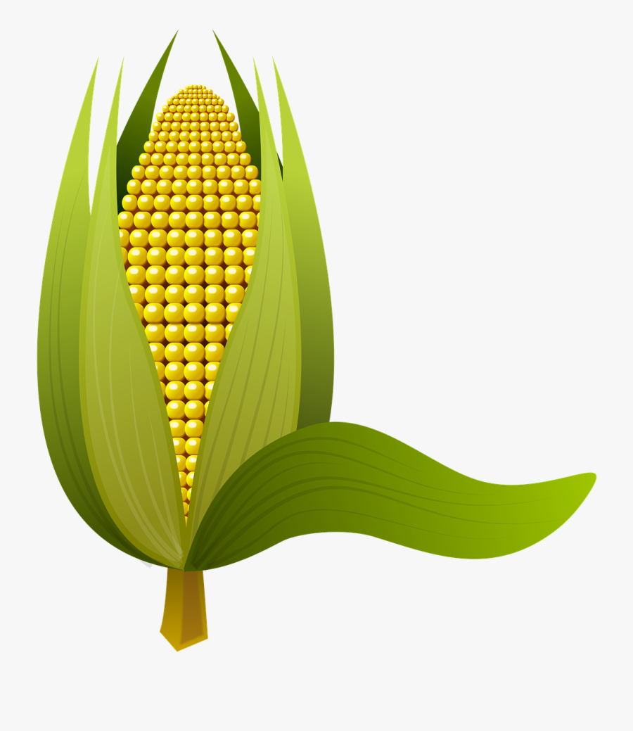 Majs Png, Transparent Clipart