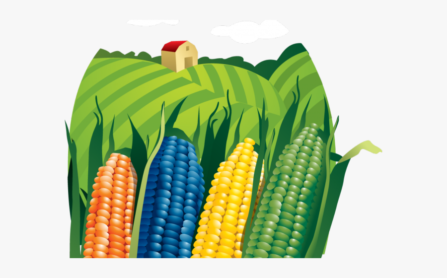 Corn Farm Png Transparent, Transparent Clipart