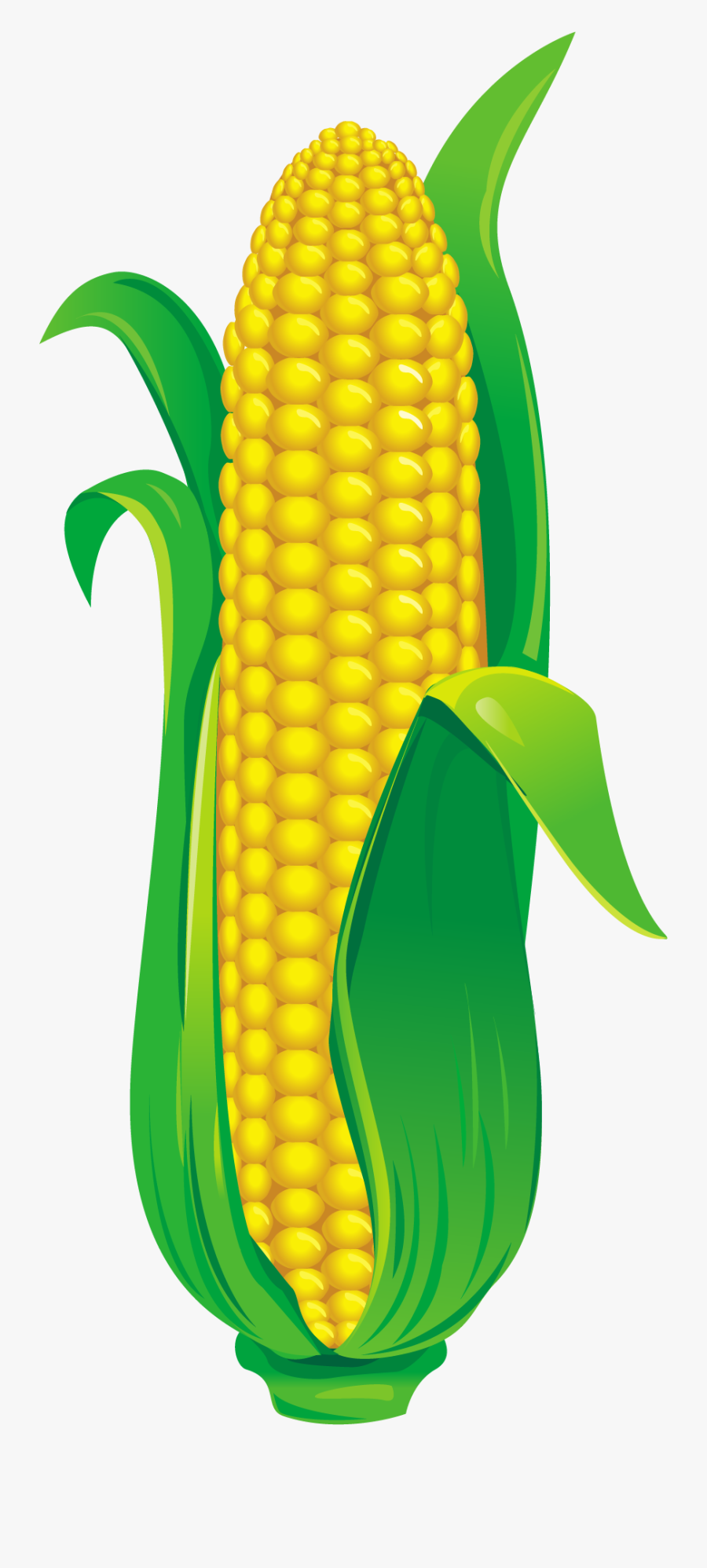 Cartoon Corn, Transparent Clipart