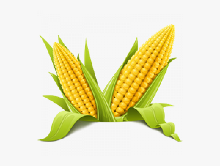 Corn Png Images Transparent Png - Different Pictures Of Vegetables, Transparent Clipart