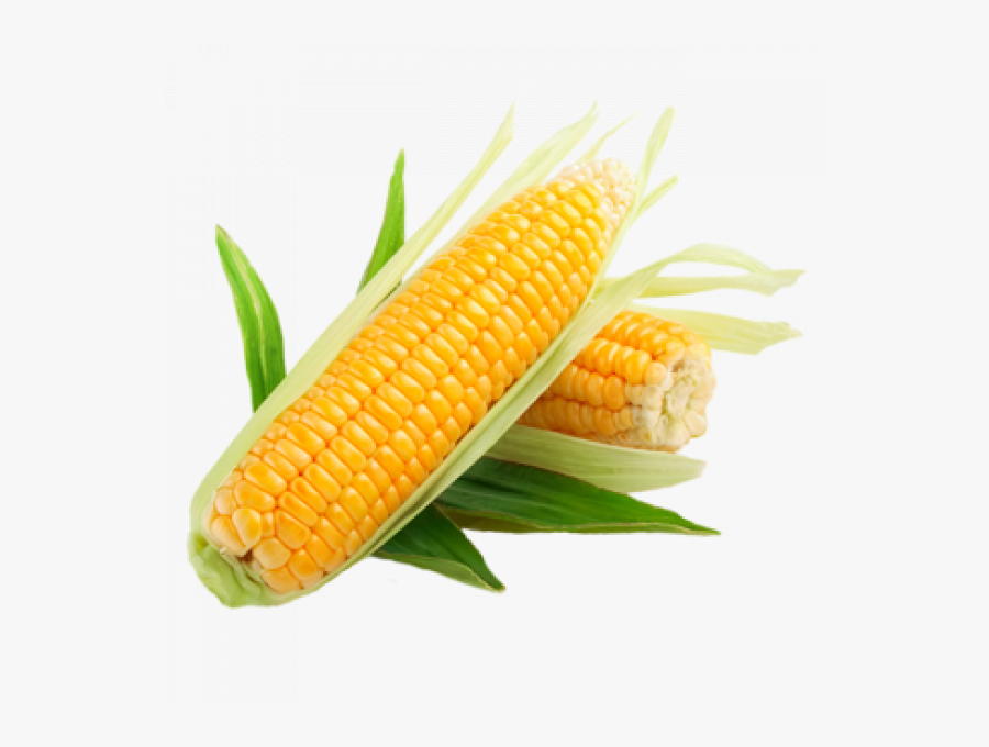 Corn Transparent Images Transparent Png - Transparent Corn Png, Transparent Clipart