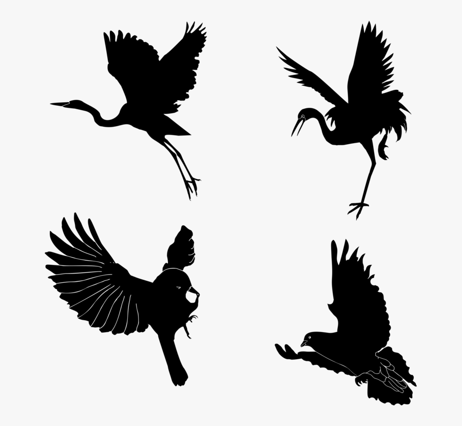 Silhouette,monochrome Photography,bird - Ciconiiformes, Transparent Clipart