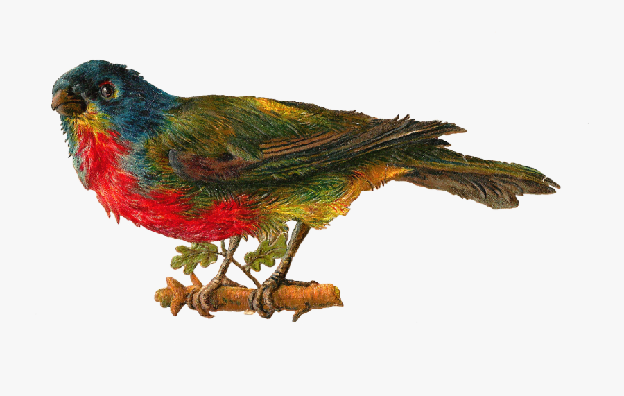 Transparent Birds Victorian, Transparent Clipart