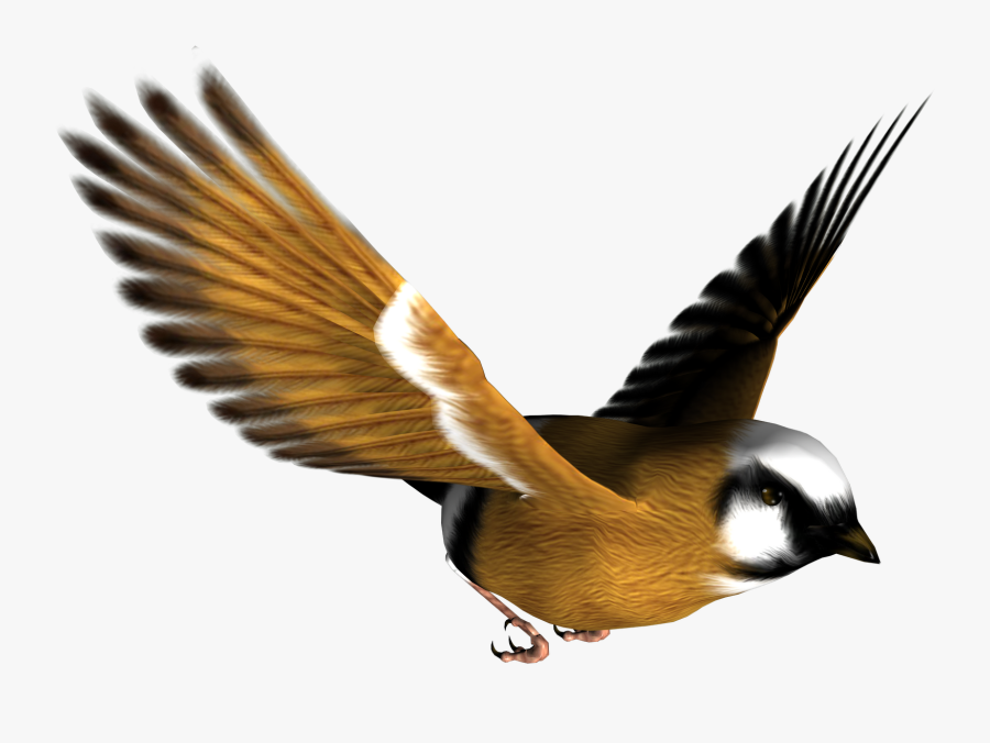 Free Bird Png Images - Bird Png, Transparent Clipart