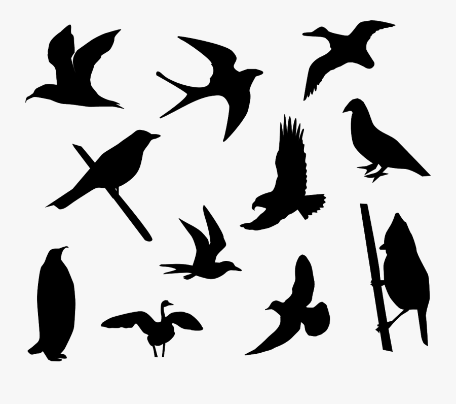 A Sick Bird Clipart, Vector Clip Art Online, Royalty - Bird Vector Silhouette Png, Transparent Clipart
