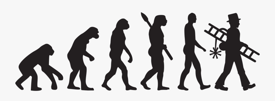 Evolution Of Man To Surfer, Transparent Clipart