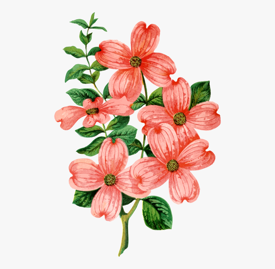 Plant,flower,petal - Thanks You Cards For Support, Transparent Clipart