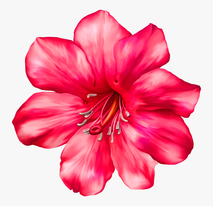 Moana Png Flor Moana Baby Png Flor Free Transparent Clipart Clipartkey