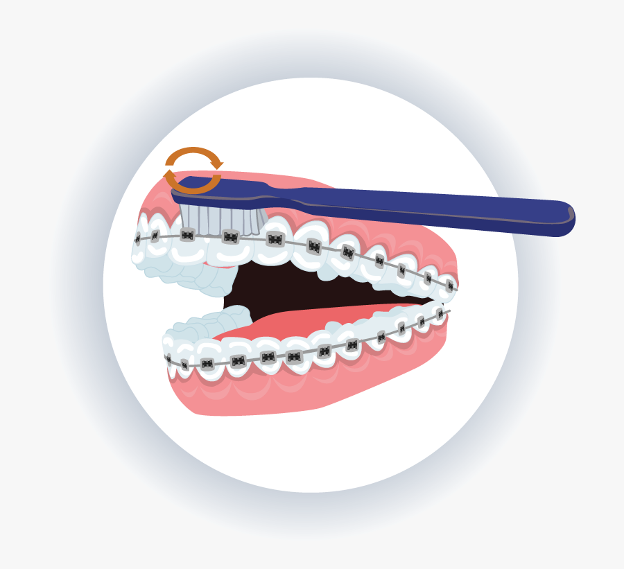 Oral Hygiene, Transparent Clipart