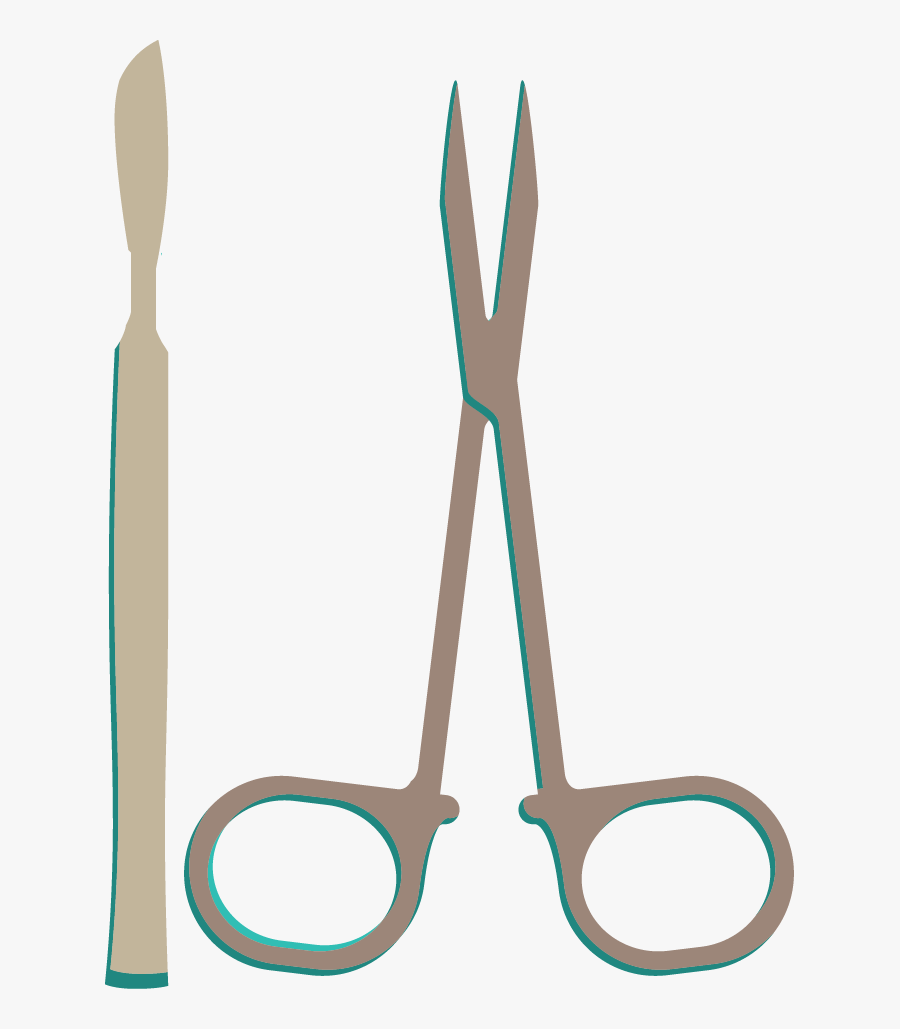 Vasectomy Clip Art Transparent, Transparent Clipart