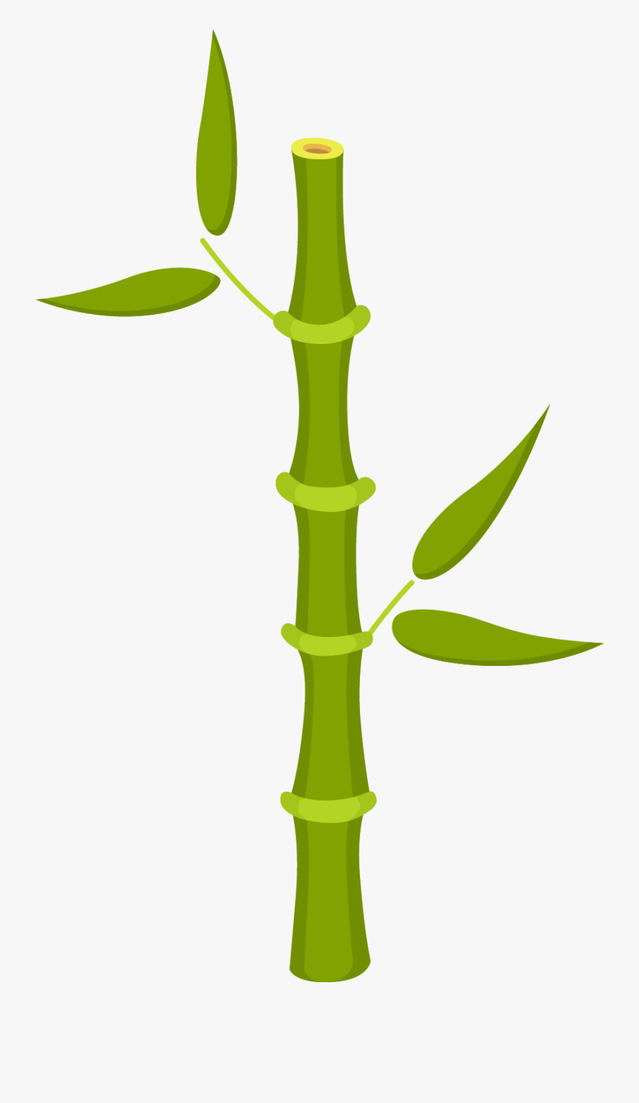 Sweet 16 Quinceanera Panda Clipart - Panda Tierno Caricatura Png, Transparent Clipart