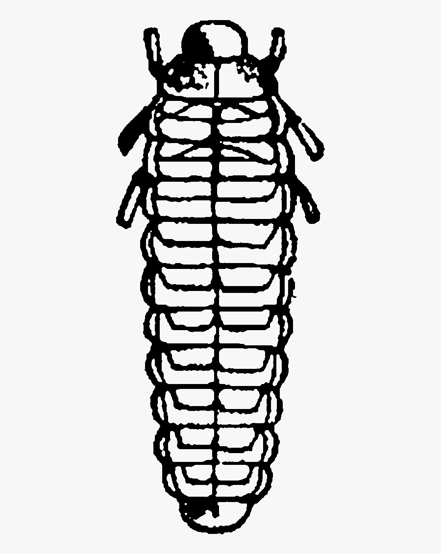 Tidbits Trinkets Images » Halloween - Line Art, Transparent Clipart