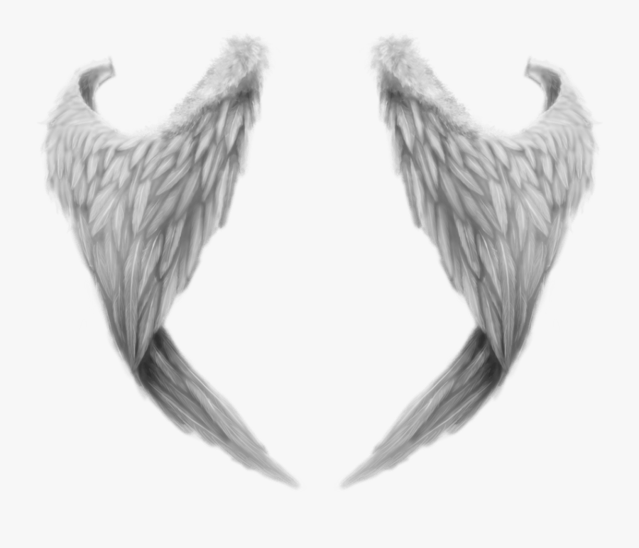 Fantasy Angel Wings - Angel Wings From Behind, Transparent Clipart