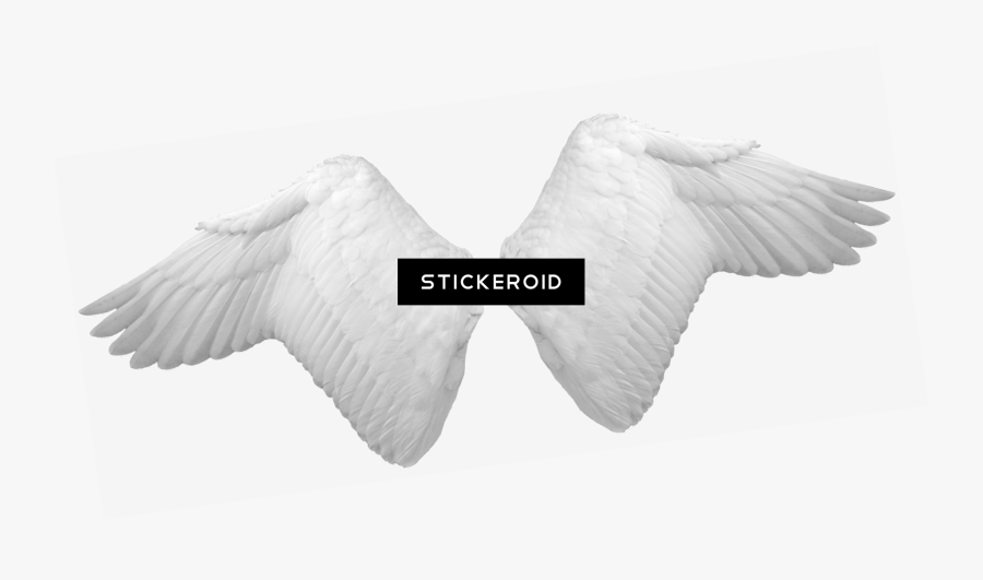 Transparent Angel Wings Clipart - Transparent Cupid Wings, Transparent Clipart
