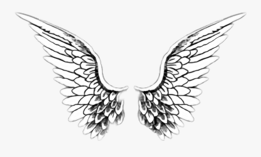 #angelwings #angel #wings #black #white #trend #tumblr - Angel Wings Tumblr Drawing, Transparent Clipart