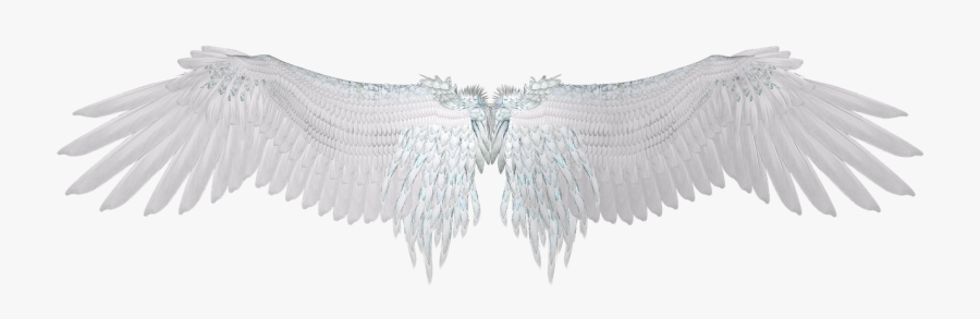 Black Angel Wings 3 4 Png, Transparent Clipart