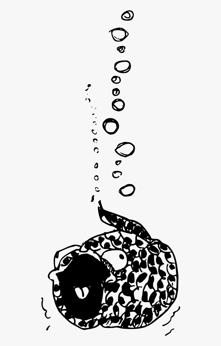 Clip Art, Transparent Clipart