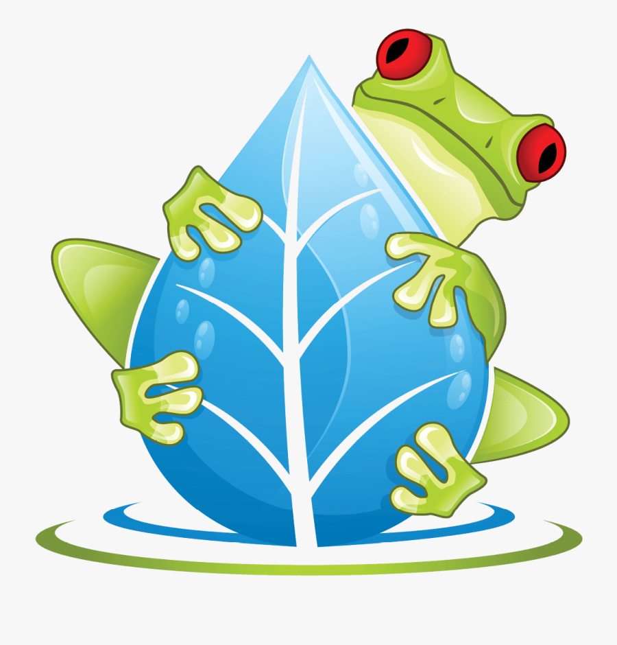Indonesia - Tiny Tree Frog Cartoon Png, Transparent Clipart