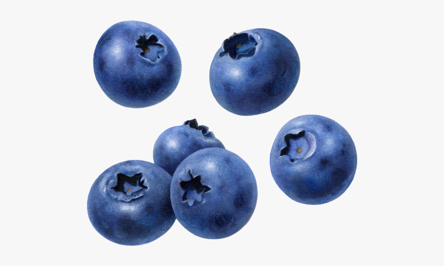 Blueberry Clipart Transparent Background - Transparent Background Blueberry Png, Transparent Clipart