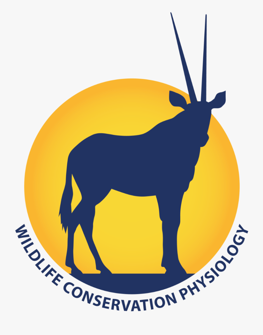 Wildlife Conservation Physiology Logo - International, Transparent Clipart