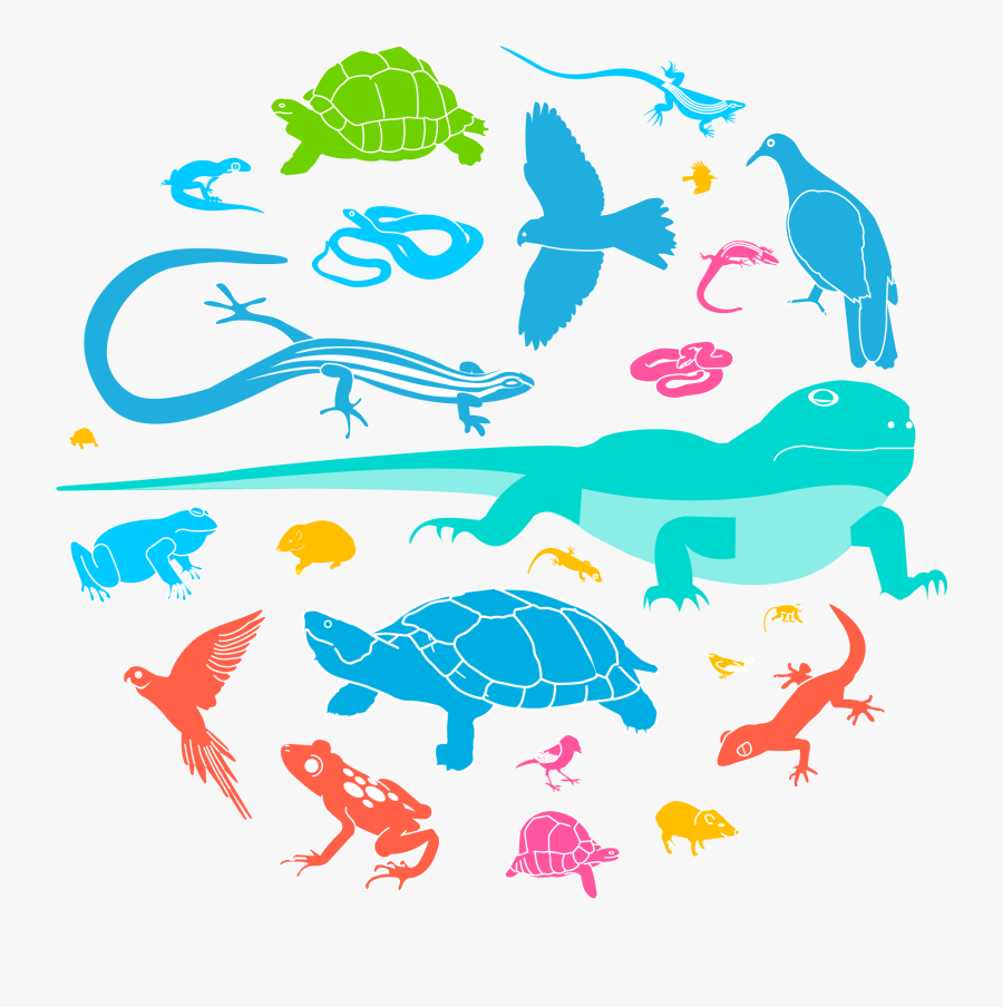 Transparent Wild Animals Clipart, Transparent Clipart